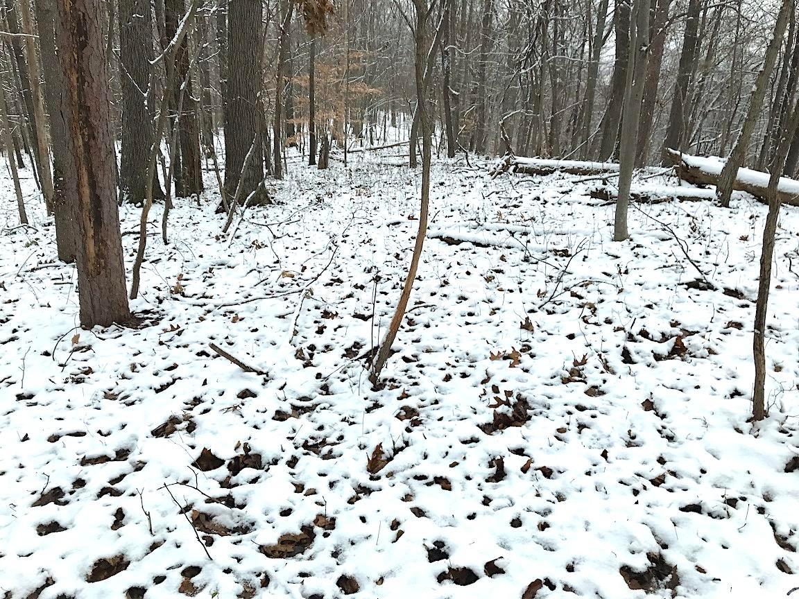 0 Brohard Road Jackson, OH 45640 - Photo 22 of 50