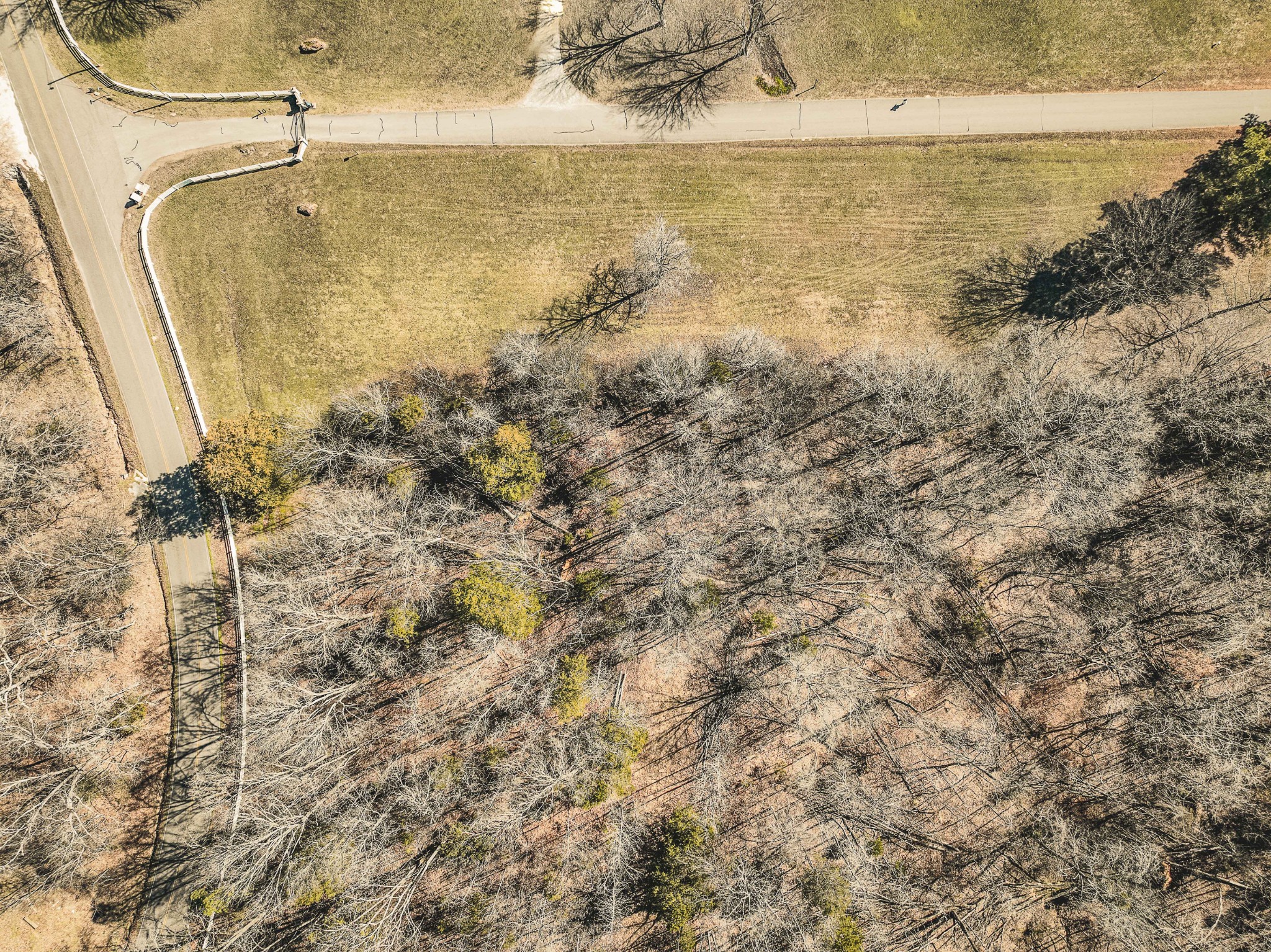 0 Creek Ridge Cove Parsons, TN 38363 - Photo 12 of 17 a bathroom with a shower