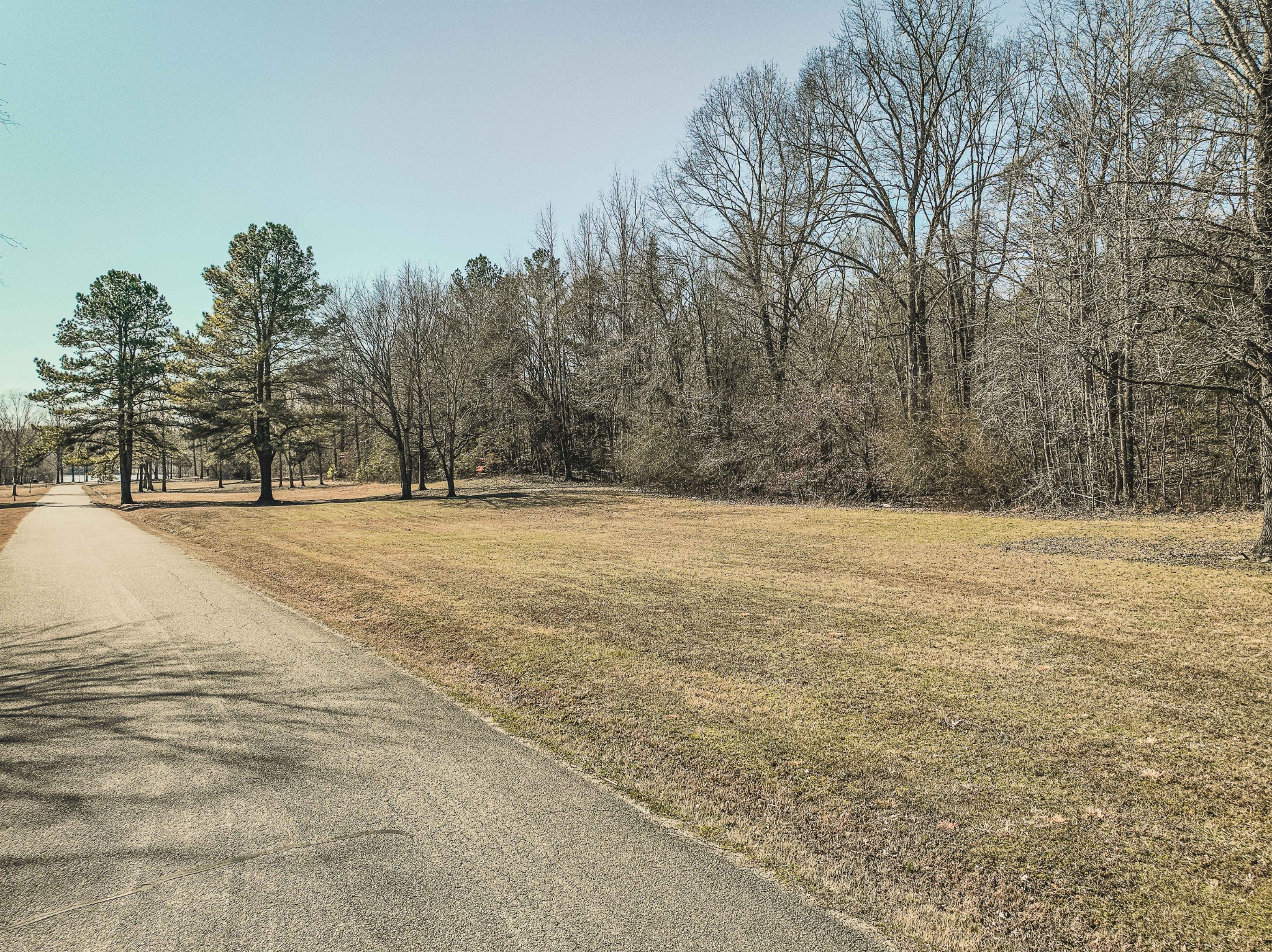 0 Creek Ridge Cove Parsons, TN 38363 - Photo 13 of 17 a view of pool and trees