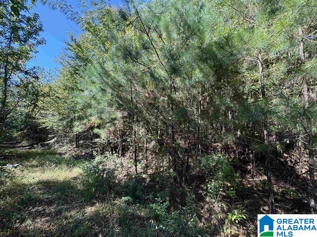 1825 Gurley Road, Unit 1 Trafford, AL 35172 - Photo 3 of 5