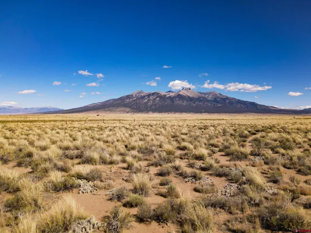 a view of a big yard
