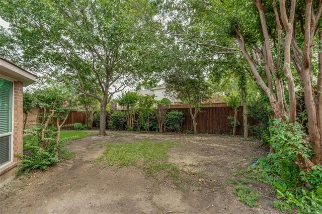 a view of a backyard with large trees and plants