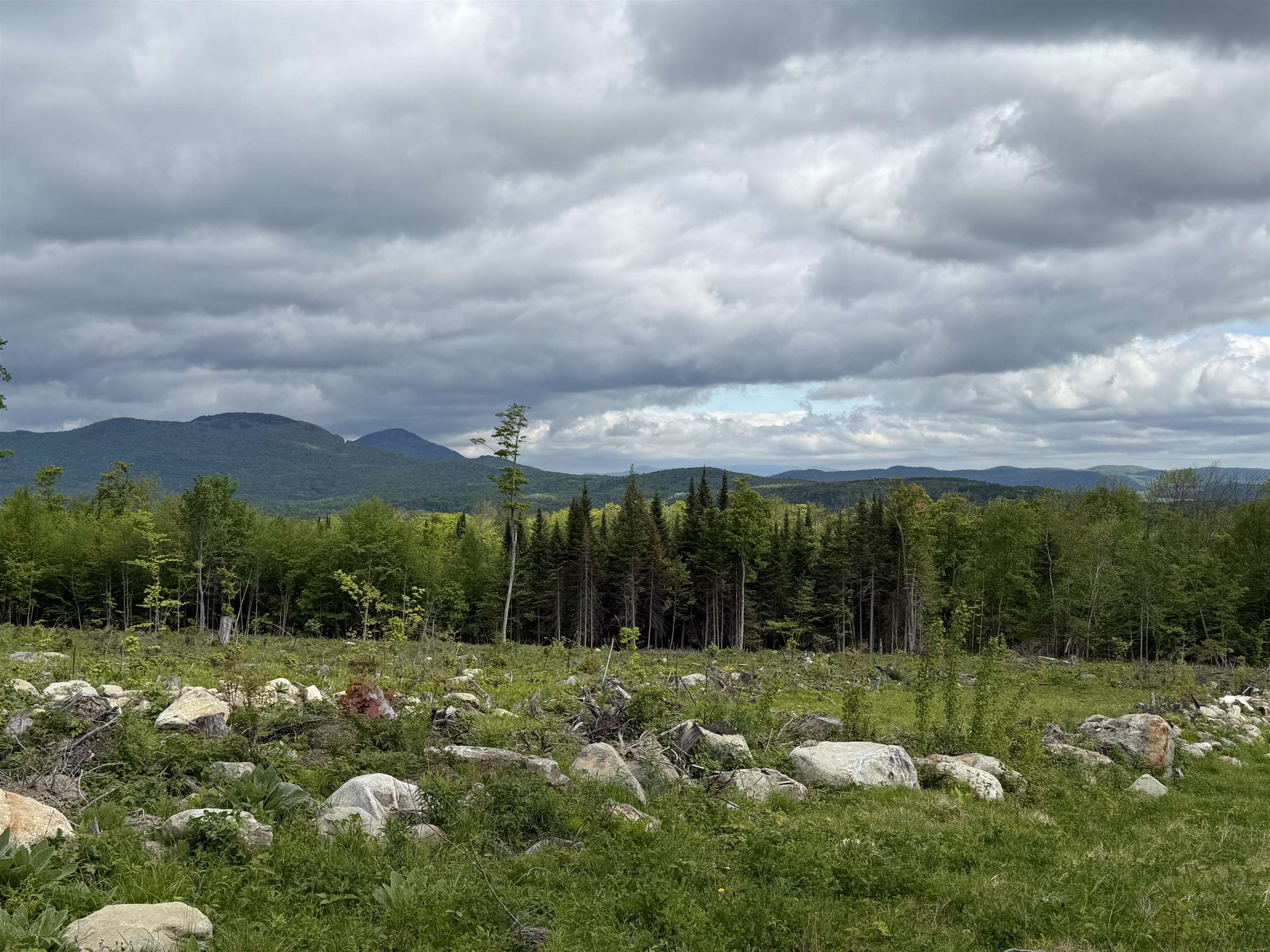 0 Gibbs Road, Unit LOT #2 Newport Center, VT 05857 - Photo 6 of 11