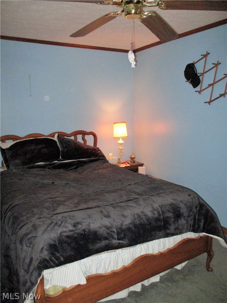 1555 Forman Road Austinburg, OH 44010 - Photo 24 of 35 Gallery Image 24