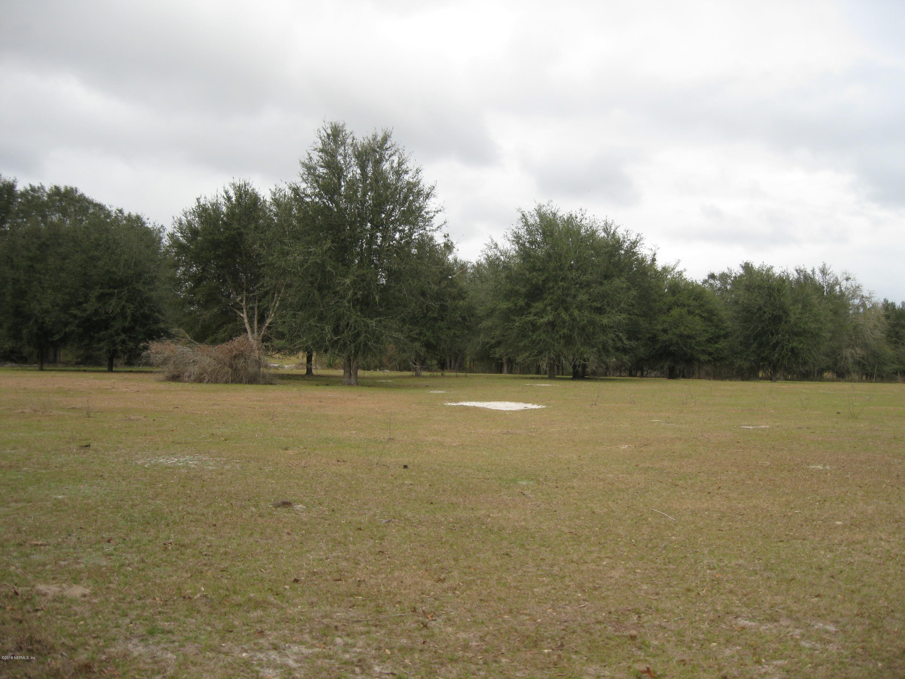 130 Suwanee Hunting Club Road Palatka, FL 32177 - Photo 1 of 10 115.25