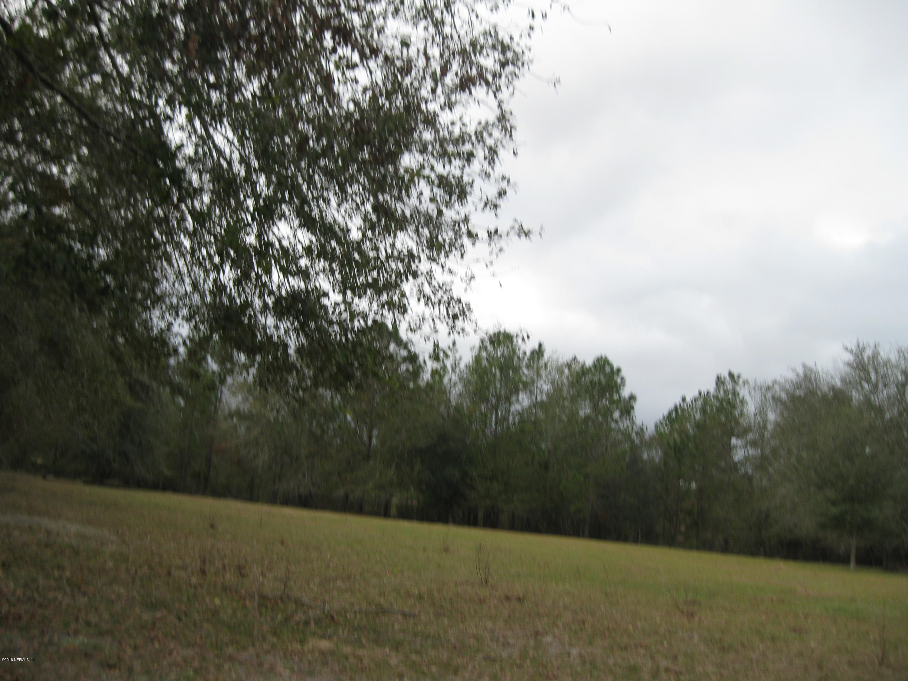 130 Suwanee Hunting Club Road Palatka, FL 32177 - Photo 2 of 10 115.25