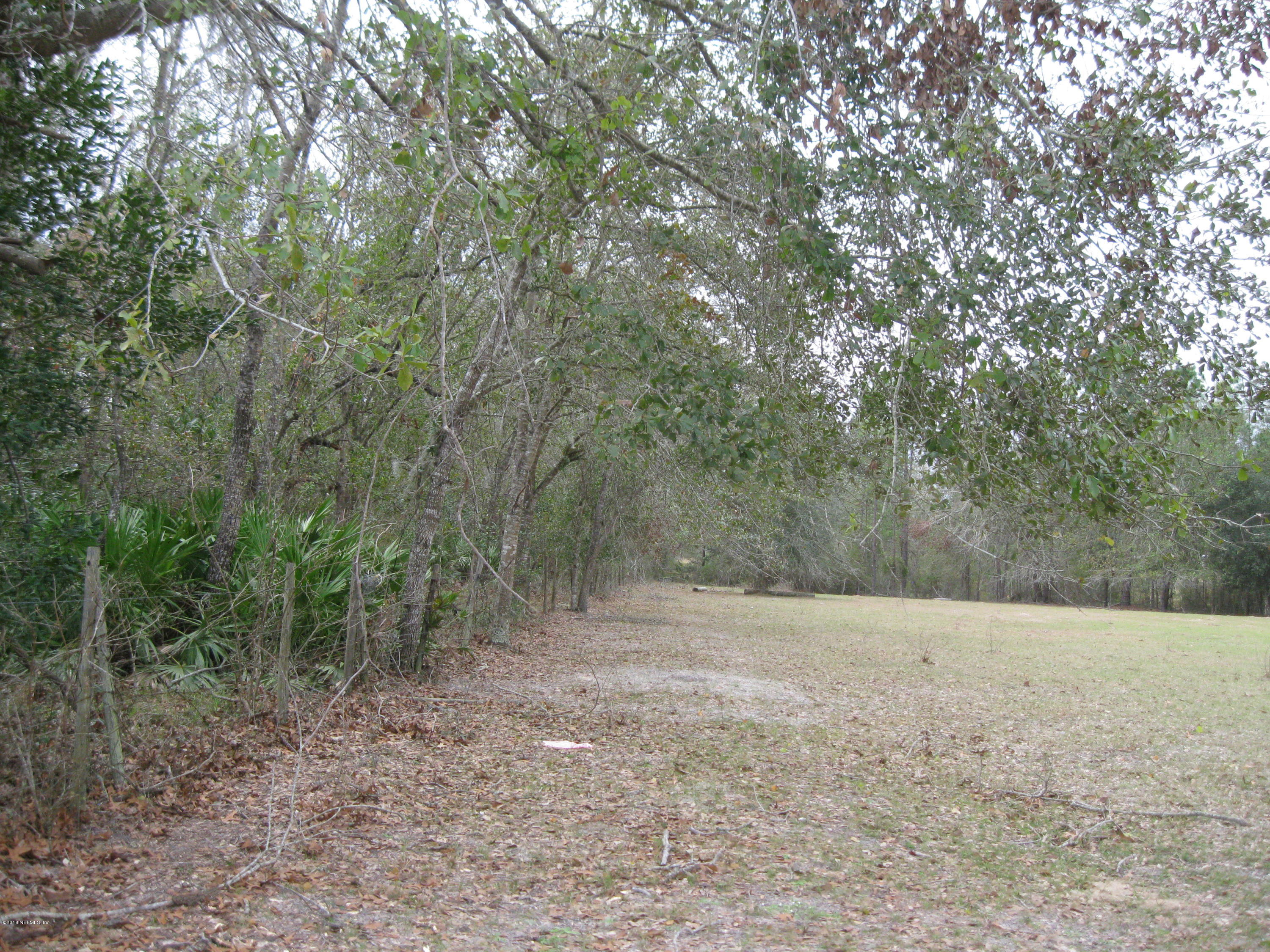 130 Suwanee Hunting Club Road Palatka, FL 32177 - Photo 4 of 10 115.25