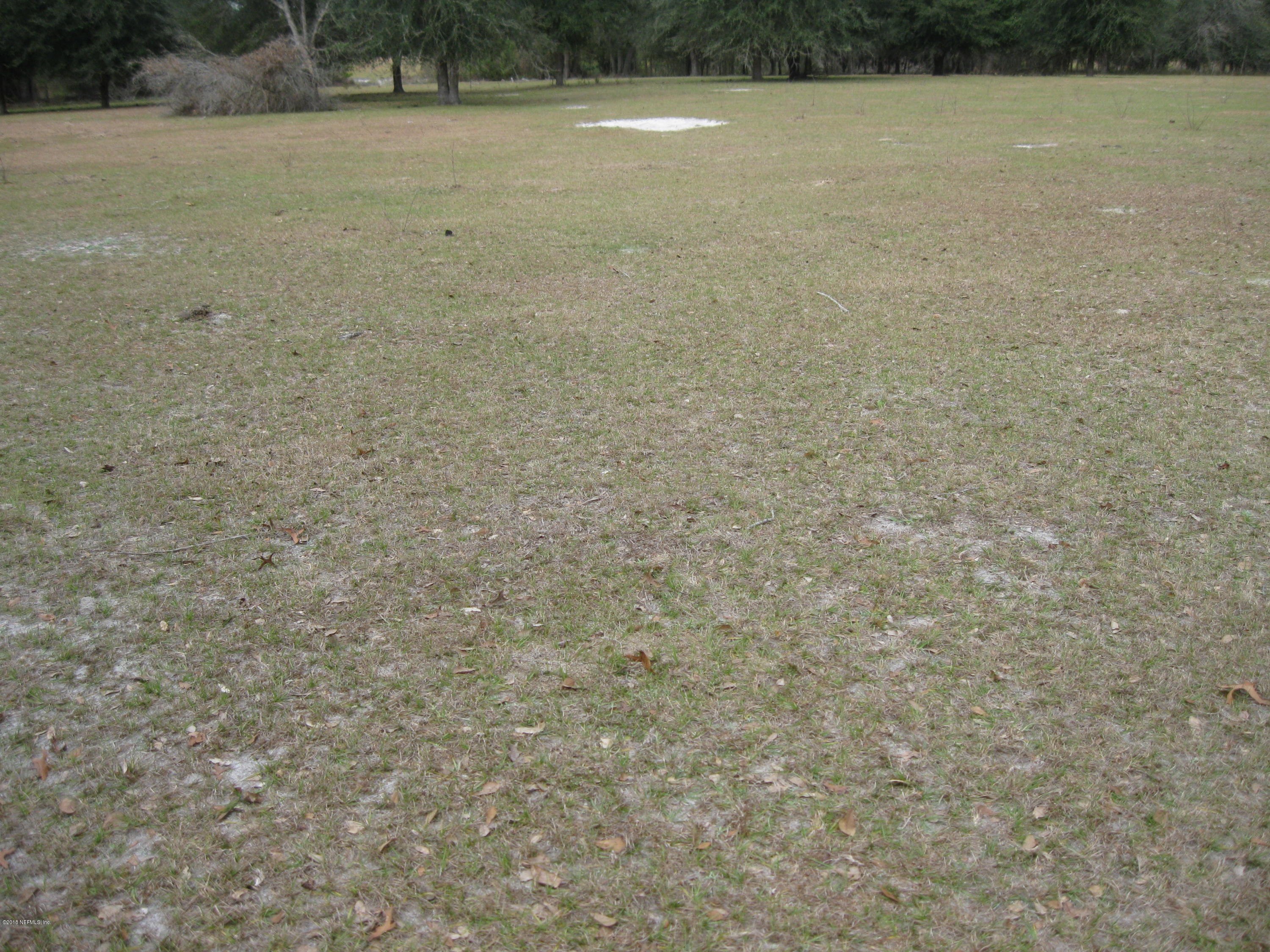 130 Suwanee Hunting Club Road Palatka, FL 32177 - Photo 6 of 10 115.25