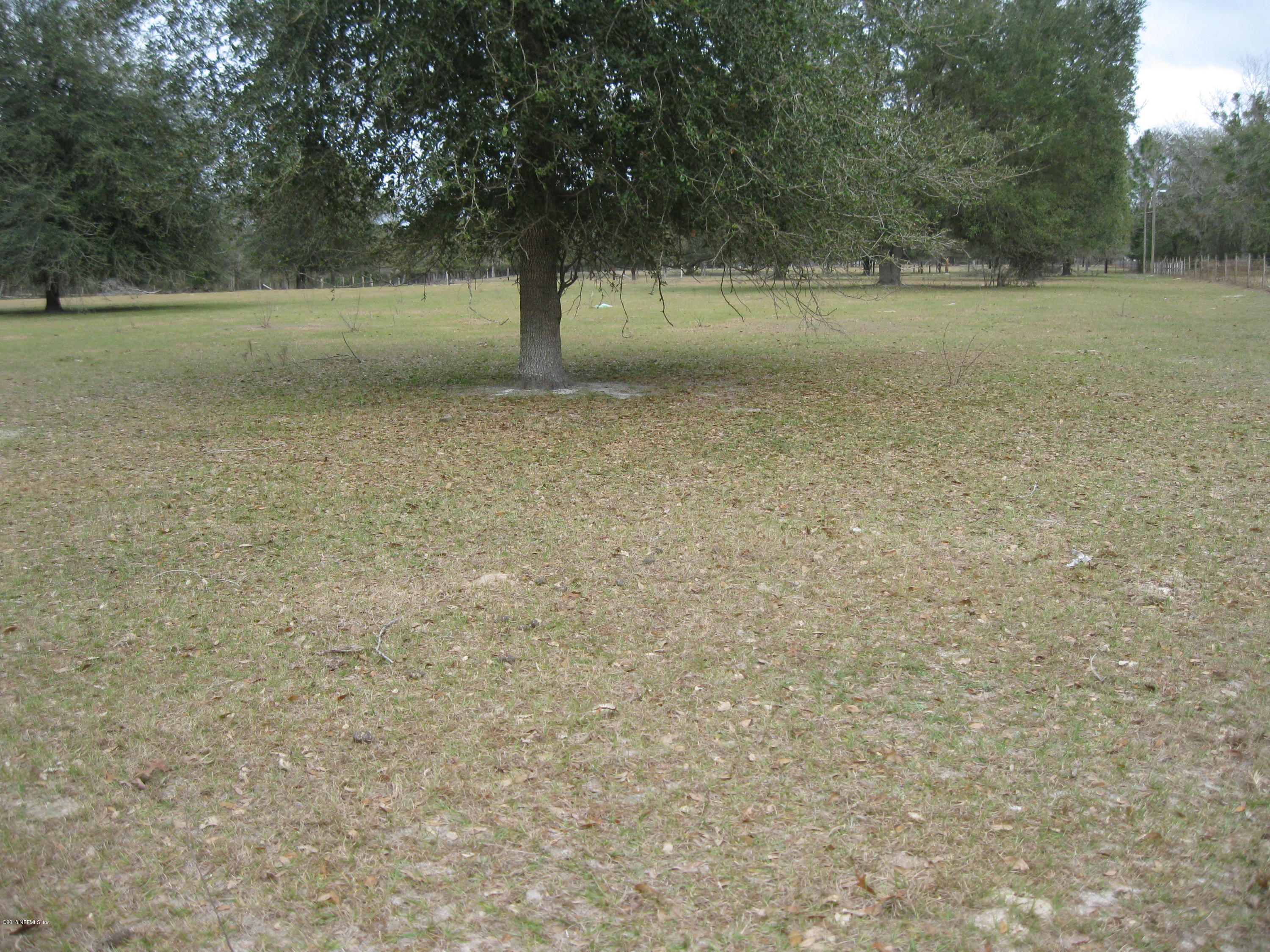 130 Suwanee Hunting Club Road Palatka, FL 32177 - Photo 8 of 10 115.25