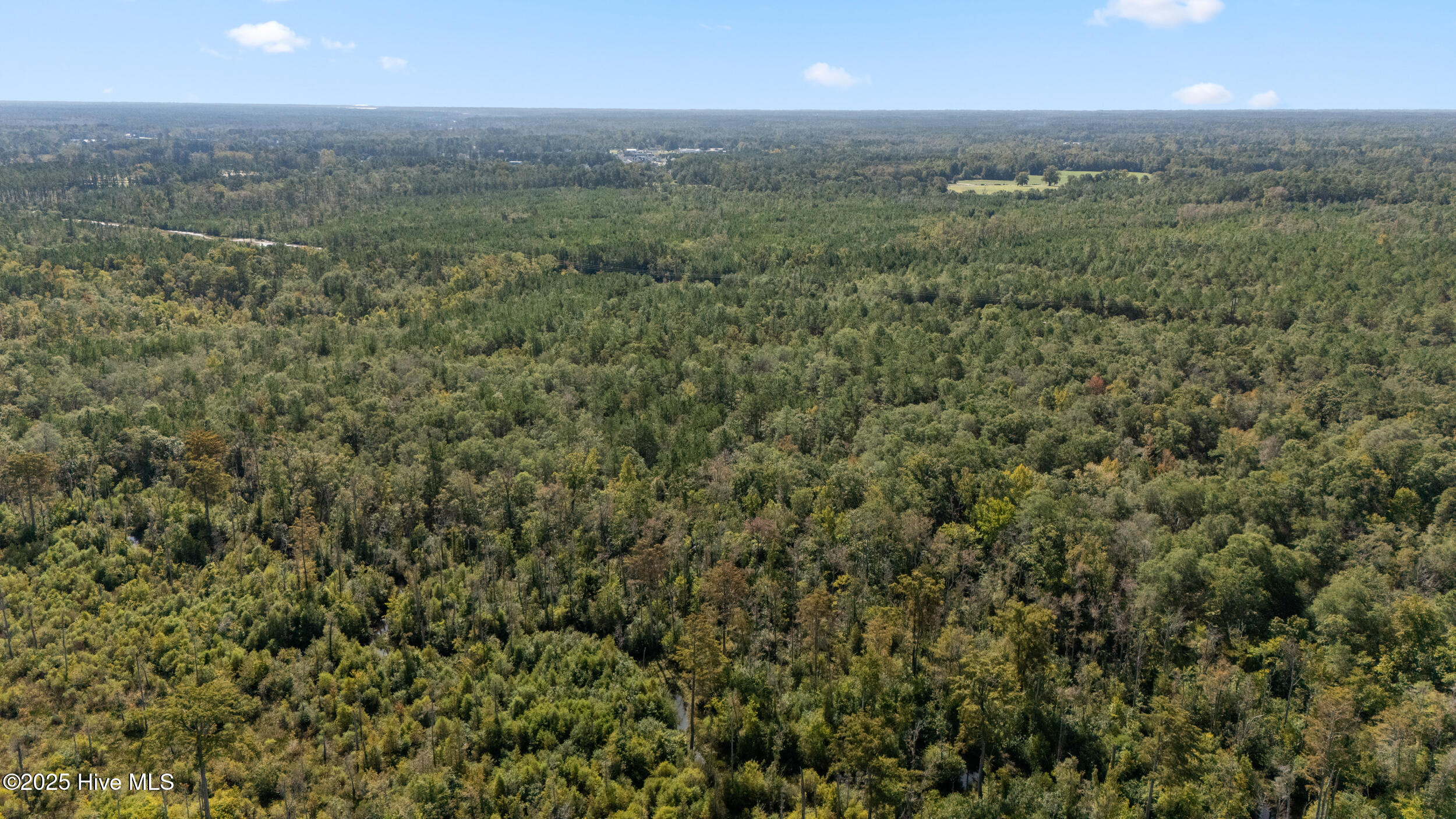 0 Green Swamp Rd Road Northwest Supply, NC 28462 - Photo 17 of 35 12_dji_20251009093742_0016_d