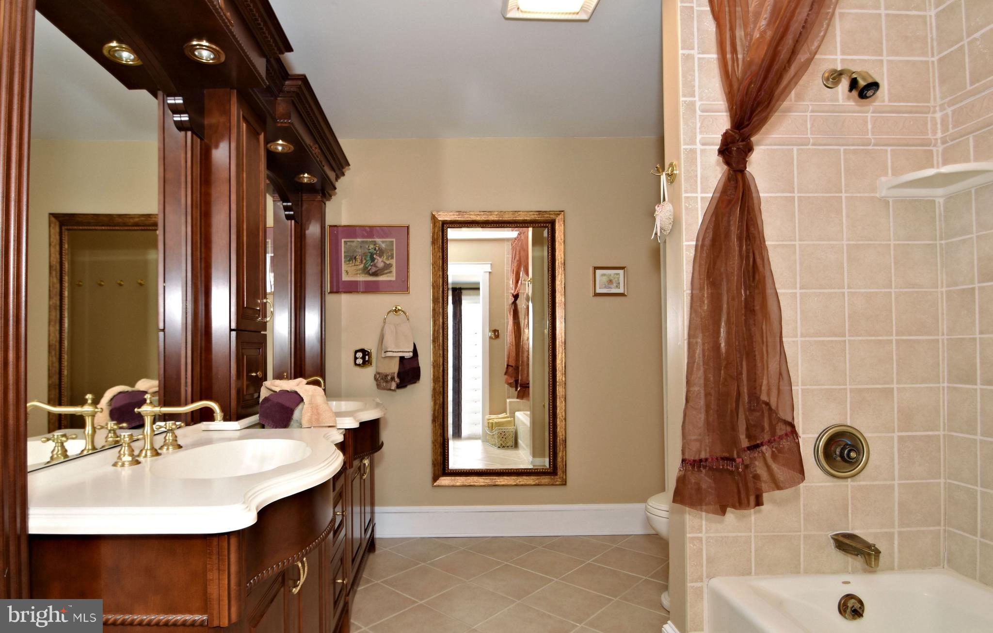 312 Ferry Road Doylestown, PA 18901 - Photo 33 of 66 a bathroom with a sink mirror and shower