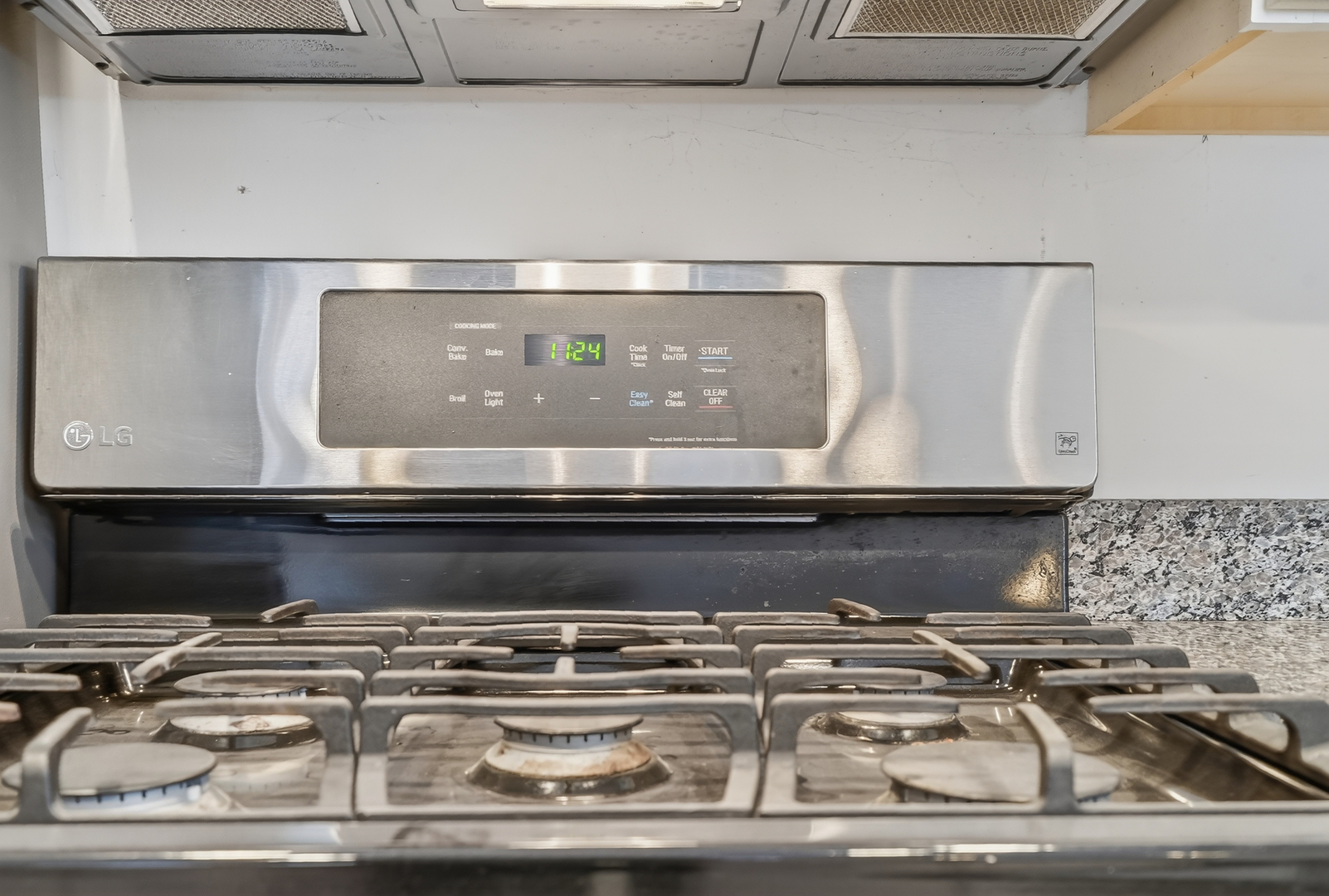 5101 North Kenton Avenue, Unit G Chicago, IL 60630 - Photo 10 of 25 a close view of stove