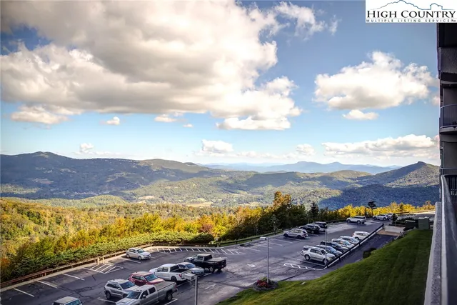 an aerial view of houses covered in trees