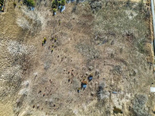 $325,000 | 16515 South La Grange Road, Orland Park, IL 60467