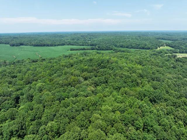 a view of a green field with lots of bushes