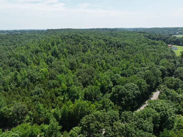 an aerial view of a houses with a yard