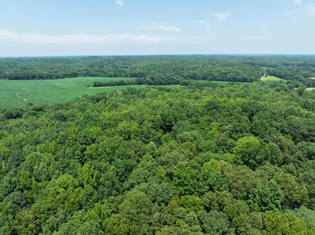 a view of a field of grass and trees