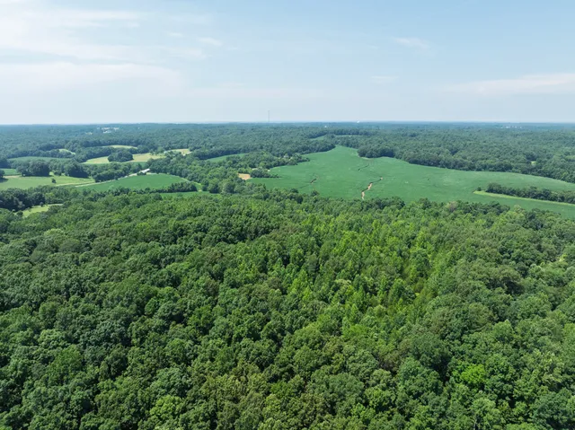 an aerial view of houses covered with trees