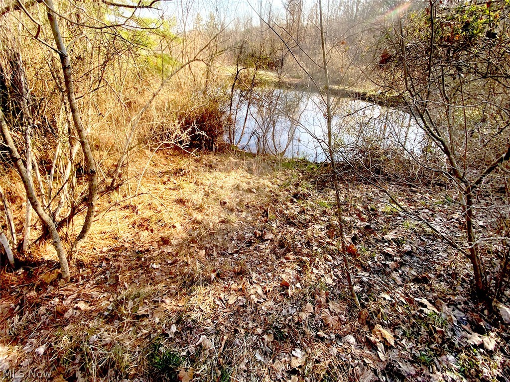 0 Twp Road Dexter City, OH 45727 - Photo 7 of 26
