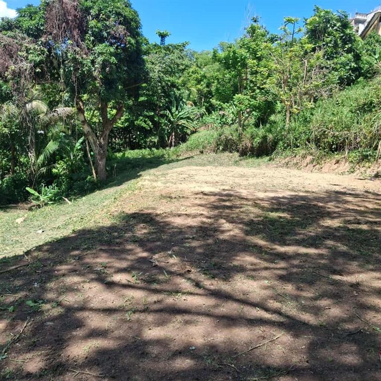 831 Km6.1 Bayamon, PR 00956 - Photo 2 of 6 Gallery Image 2