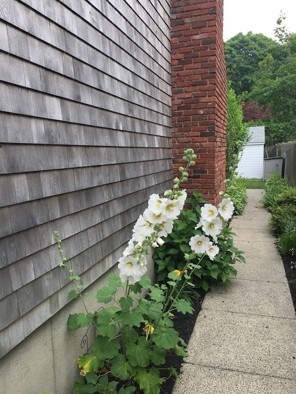35 Cedar Street Marblehead, MA 01945 - Photo 9 of 39 Gallery Image 9