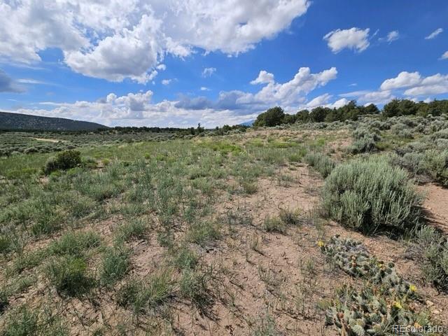 583 Montezuma Road Fort Garland, CO 81133 - Photo 3 of 5 Gallery Image 3