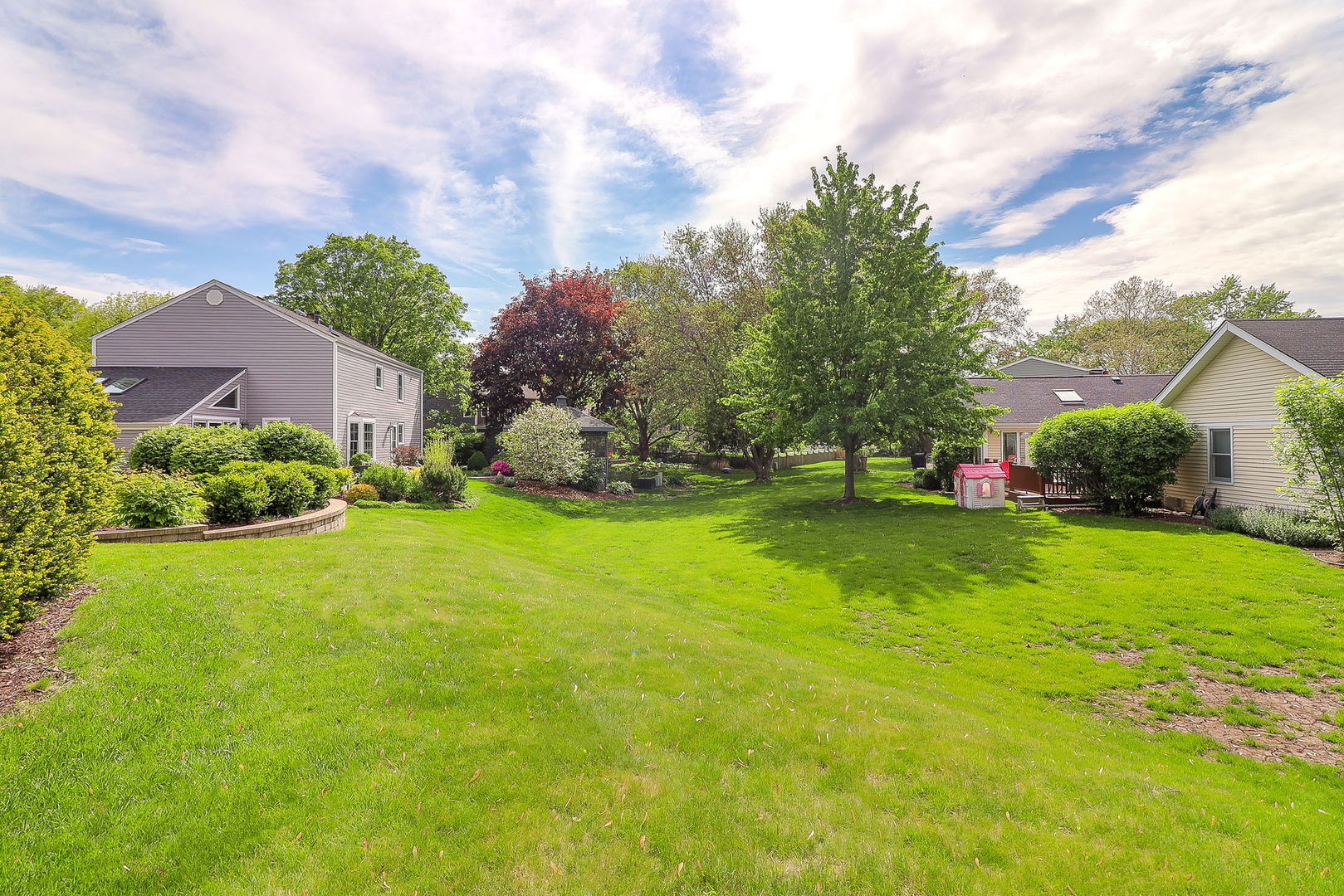 423 Warwick Drive Naperville, IL 60565 - Photo 2 of 31