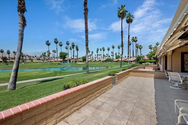 a view of a park with palm trees