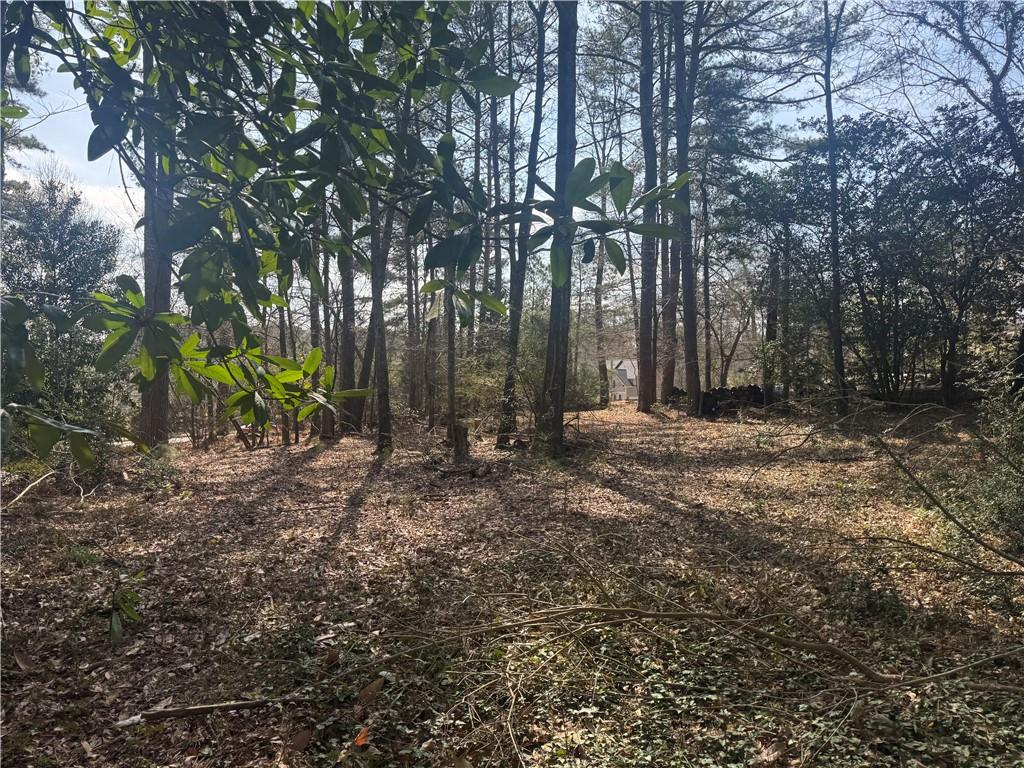 2973 Lee Road Southwest Snellville, GA 30039 - Photo 11 of 24 a backyard of a house with lots of green space