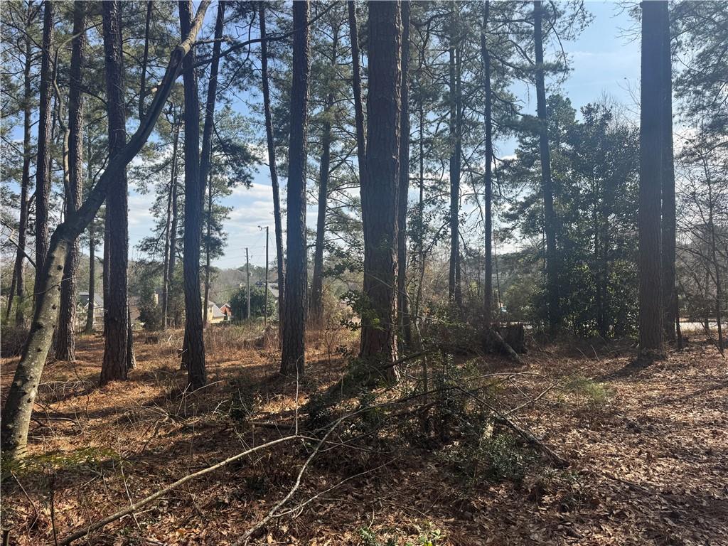 2973 Lee Road Southwest Snellville, GA 30039 - Photo 12 of 24 a view of a forest with trees