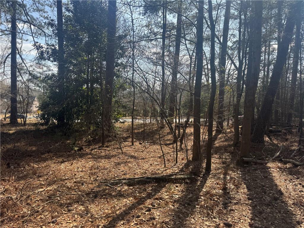2973 Lee Road Southwest Snellville, GA 30039 - Photo 13 of 24 a view of a backyard of the house