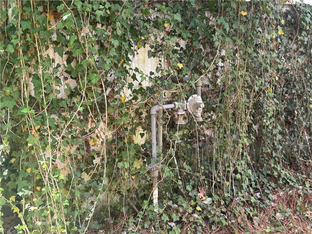 2973 Lee Road Southwest Snellville, GA 30039 - Photo 14 of 24 a close up of a plant