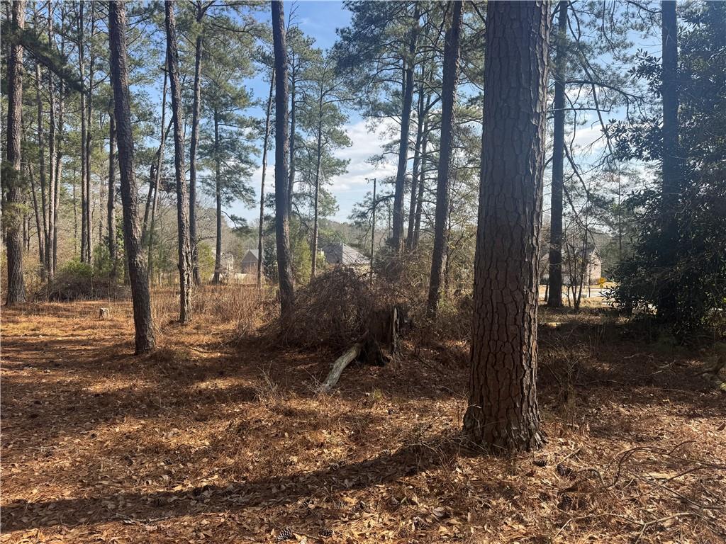 2973 Lee Road Southwest Snellville, GA 30039 - Photo 15 of 24 a backyard of a house with lots of green space