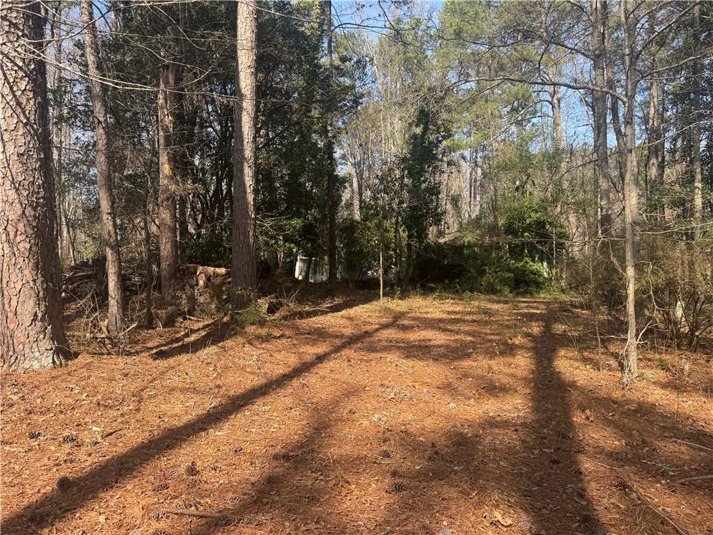 2973 Lee Road Southwest Snellville, GA 30039 - Photo 18 of 24 a view of a yard with trees