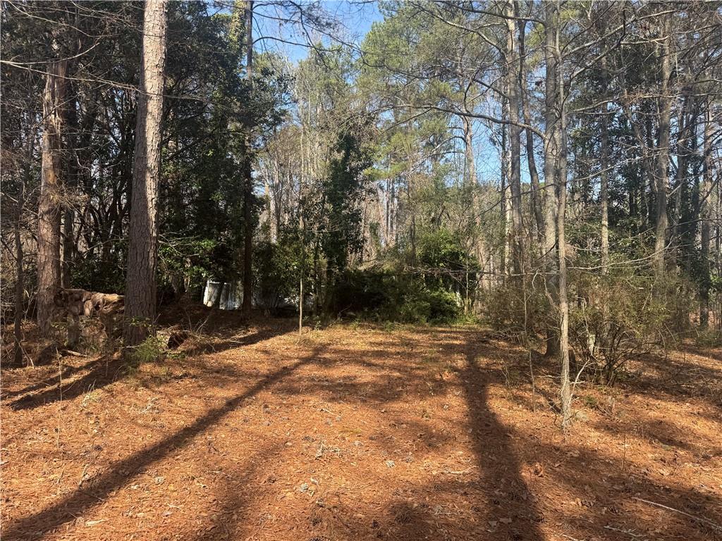 2973 Lee Road Southwest Snellville, GA 30039 - Photo 19 of 24 a view of a yard with trees