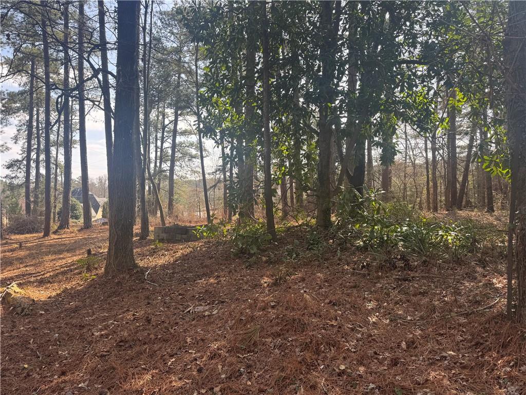 2973 Lee Road Southwest Snellville, GA 30039 - Photo 2 of 24 a view of outdoor space and trees