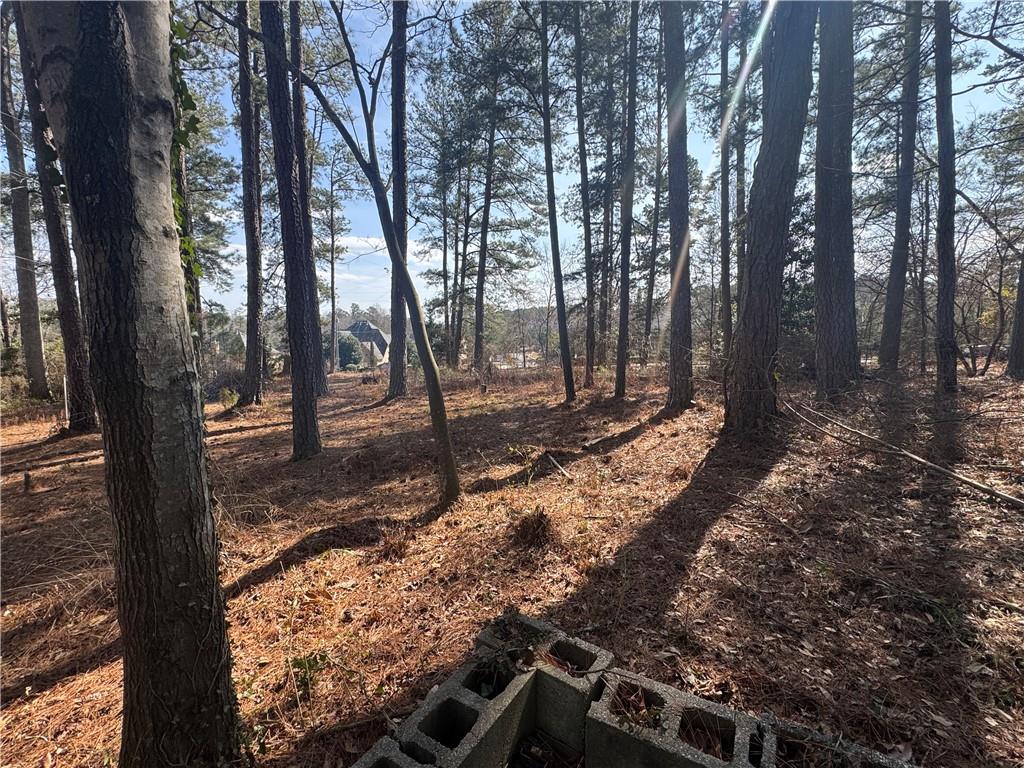 2973 Lee Road Southwest Snellville, GA 30039 - Photo 22 of 24 a view of a backyard with trees