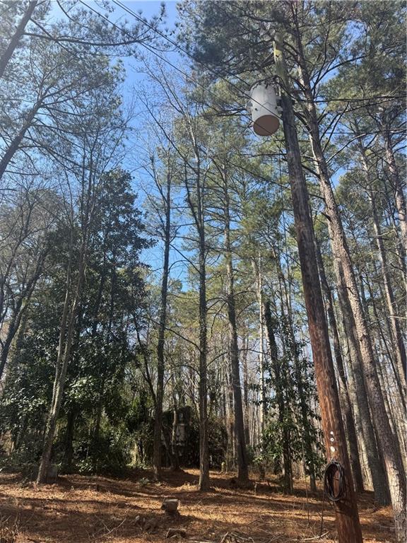 2973 Lee Road Southwest Snellville, GA 30039 - Photo 23 of 24 a view of a yard with plants and trees