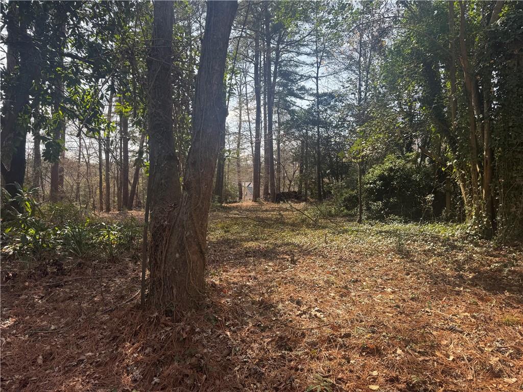 2973 Lee Road Southwest Snellville, GA 30039 - Photo 3 of 24 a view of outdoor space and trees