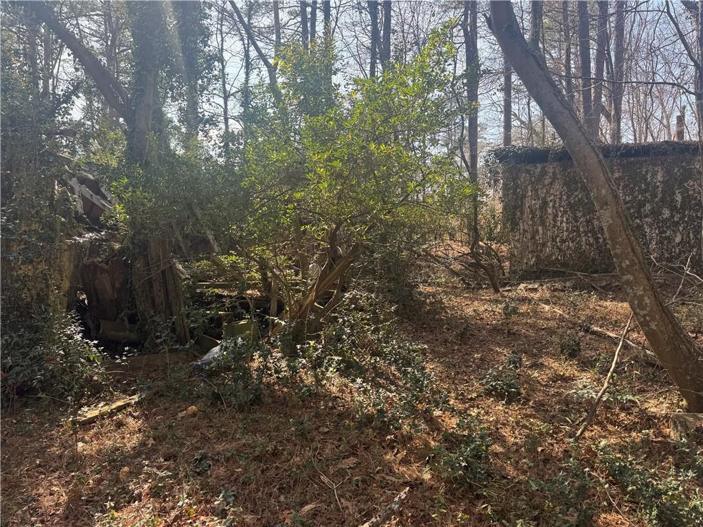 2973 Lee Road Southwest Snellville, GA 30039 - Photo 4 of 24 a view of a forest with trees