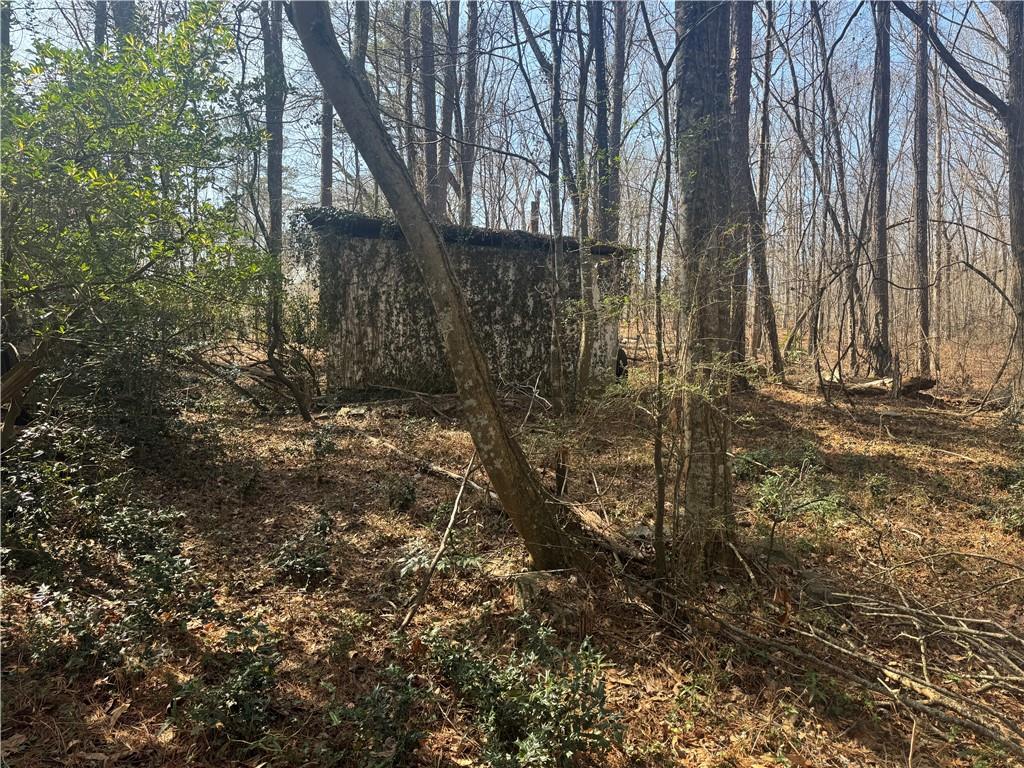 2973 Lee Road Southwest Snellville, GA 30039 - Photo 5 of 24 a view of a yard with trees