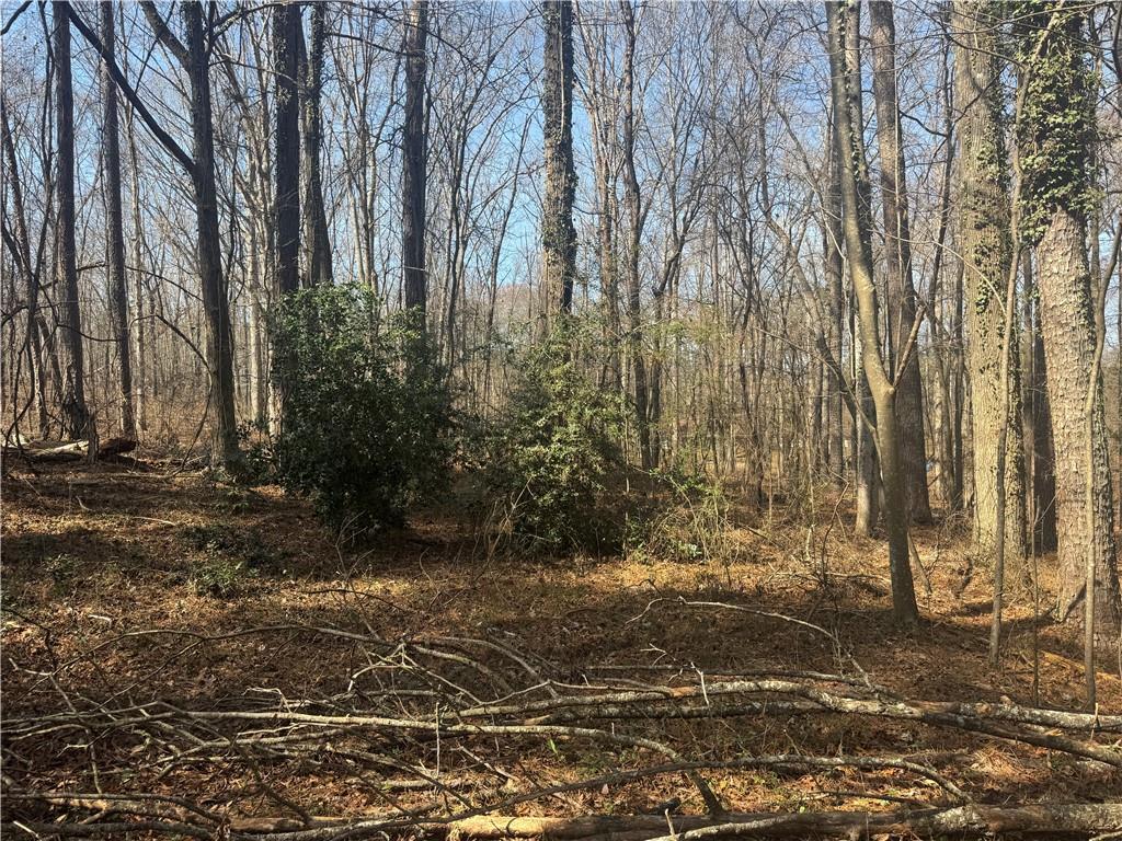 2973 Lee Road Southwest Snellville, GA 30039 - Photo 6 of 24 a view of backyard with green space