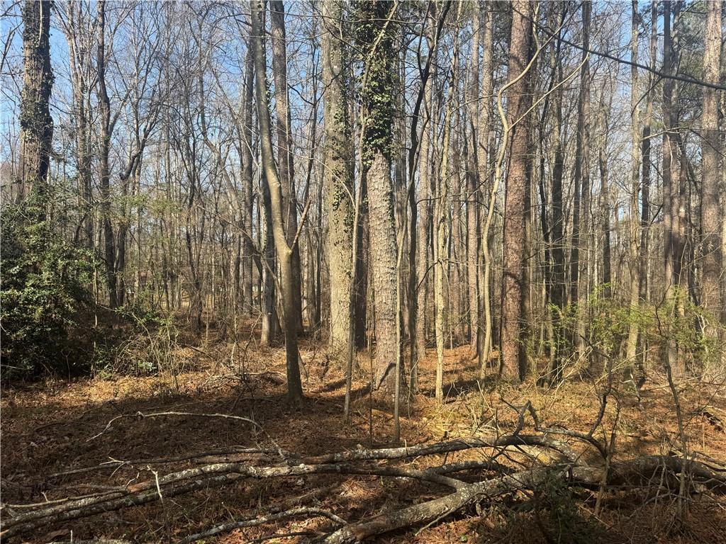 2973 Lee Road Southwest Snellville, GA 30039 - Photo 7 of 24 a view of a backyard with of the trees