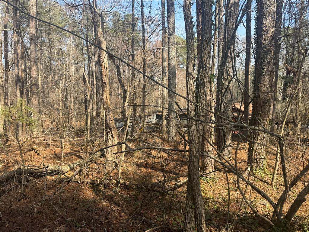 2973 Lee Road Southwest Snellville, GA 30039 - Photo 9 of 24 a backyard of a house with lots of trees