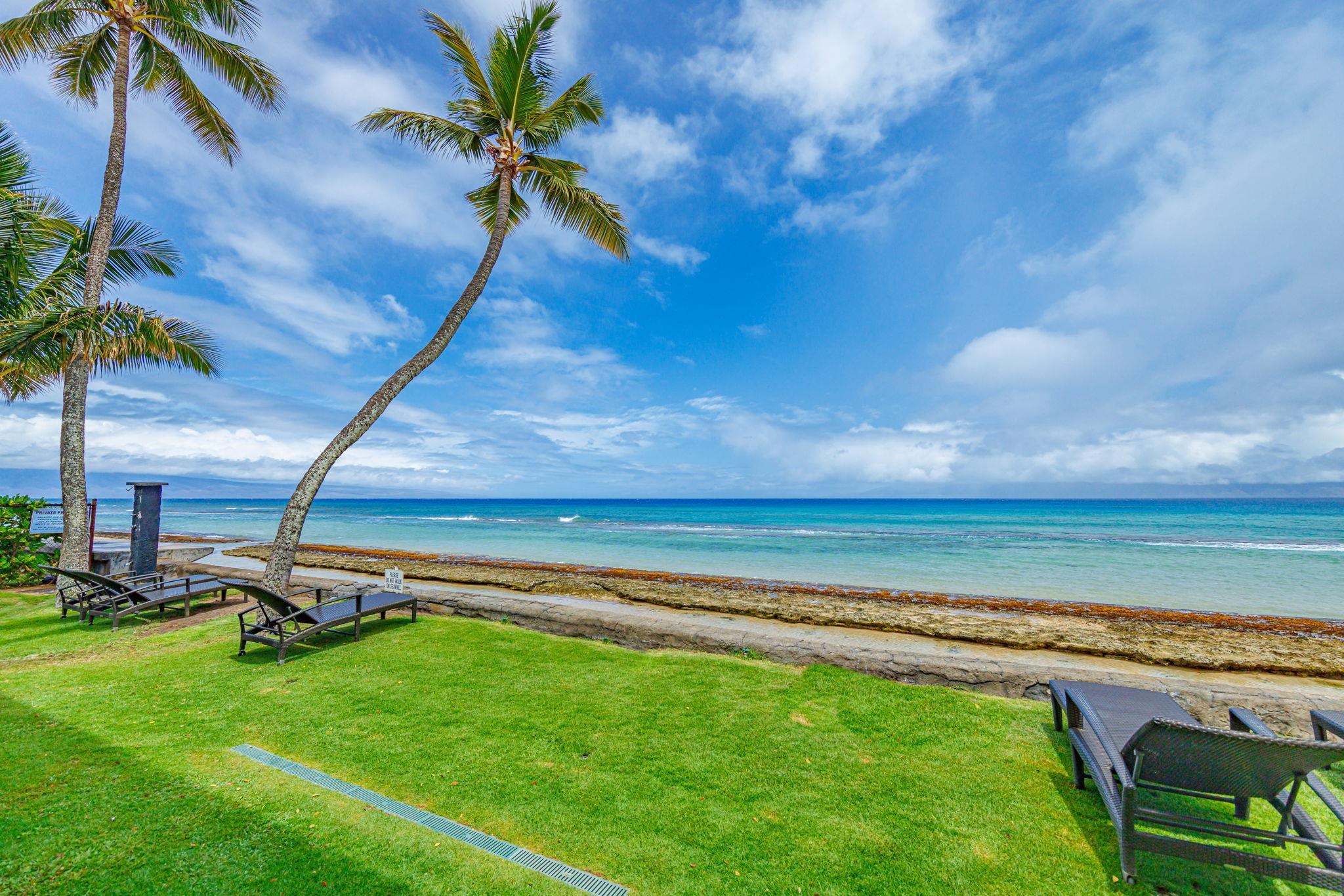 a view of a swimming pool with a yard