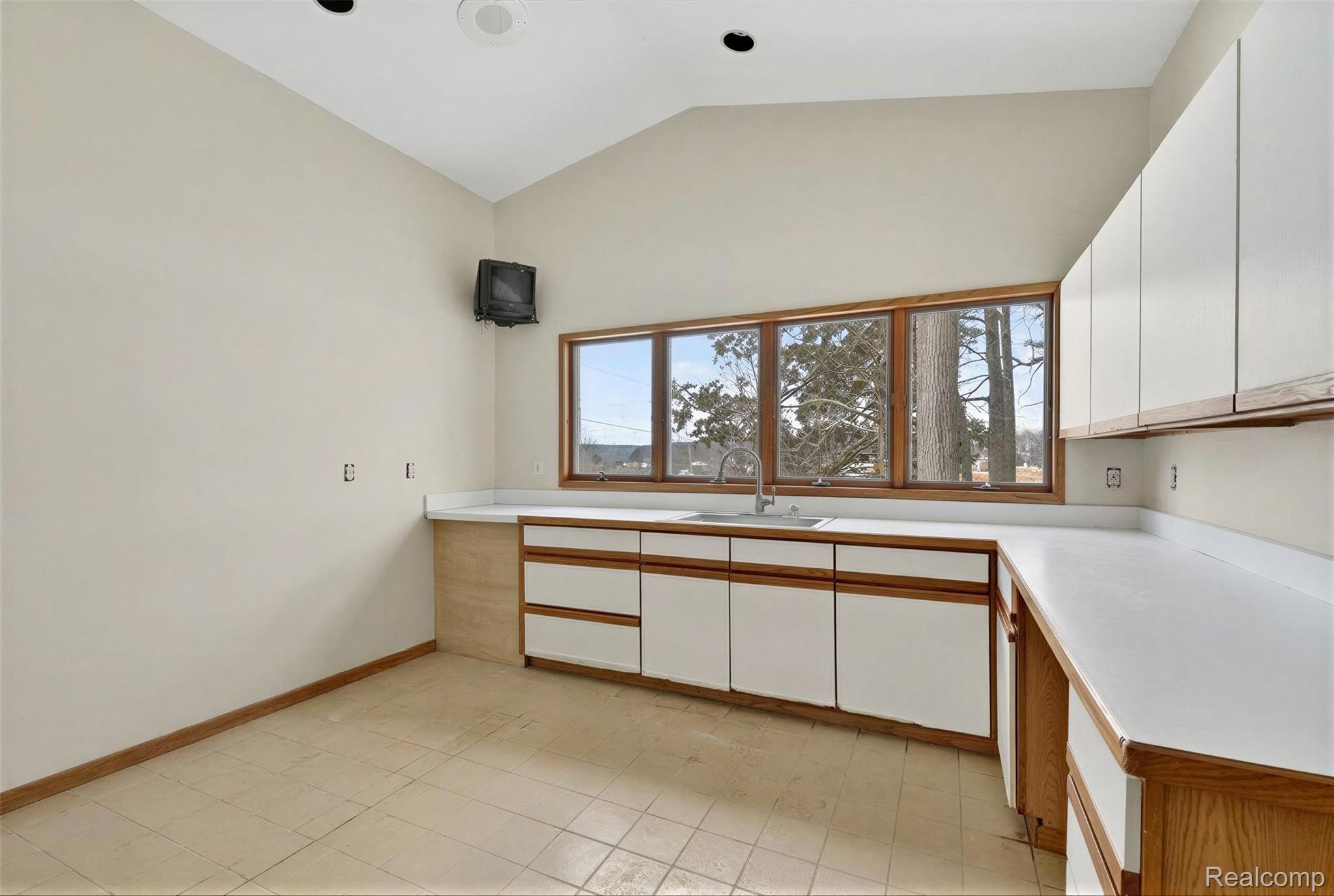 2551 Patterson Lk Road Pinckney, MI 48169 - Photo 75 of 95 kennel sink.jpg