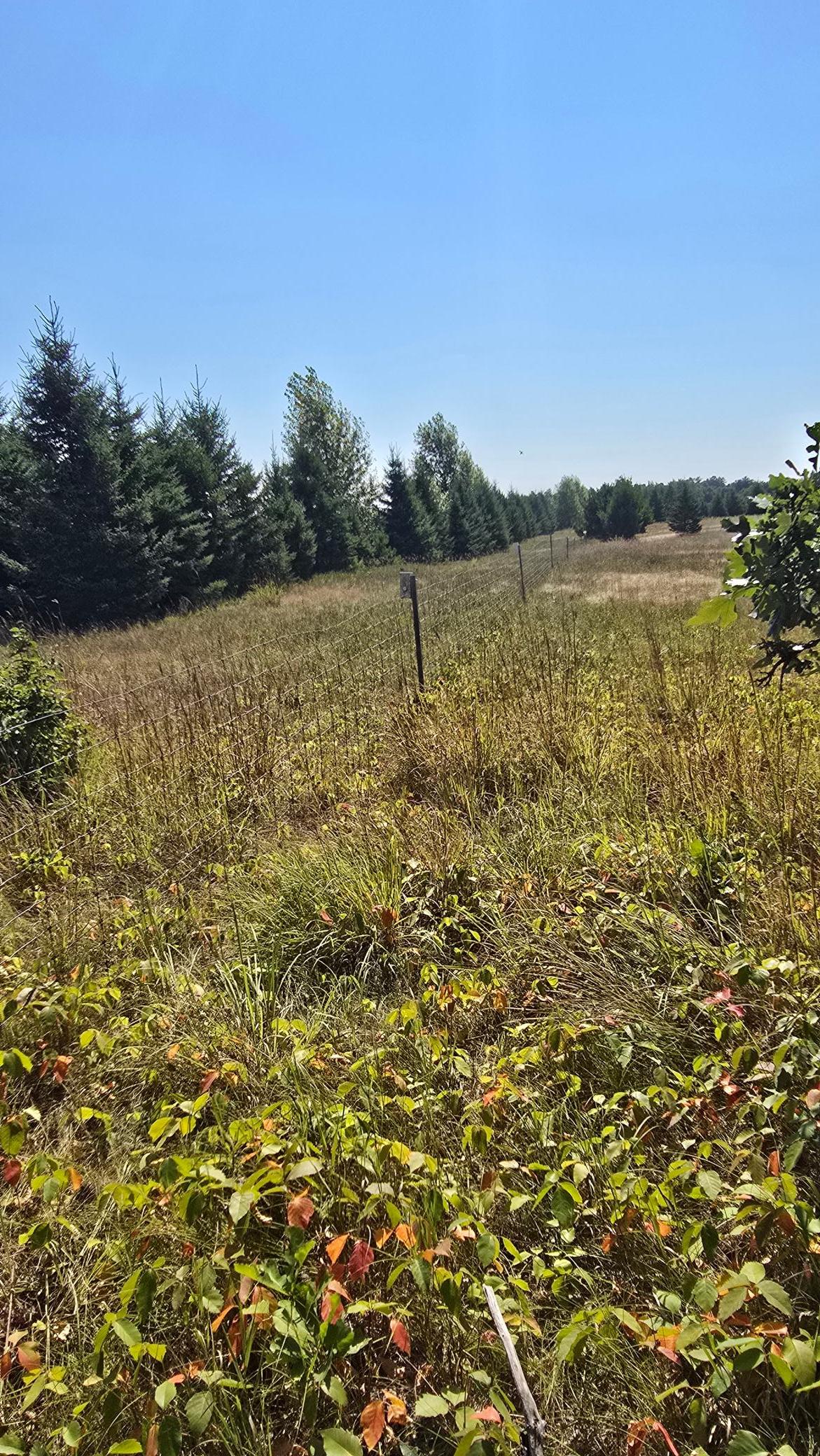 Tbd Ravenswood Road Brainerd, MN 56401 - Photo 5 of 16 Gallery Image 5