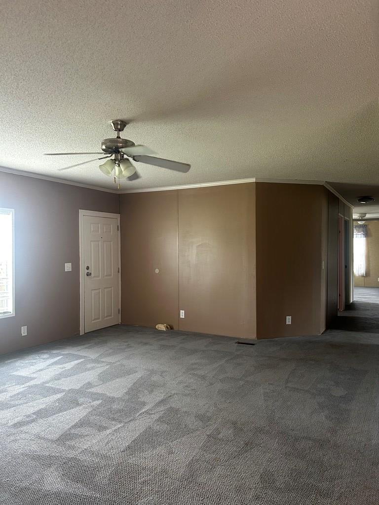 1301 Furnie Folks Road Webb, AL 36376 - Photo 16 of 25