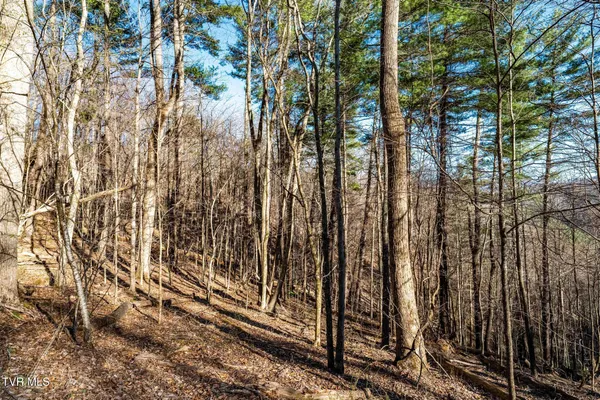 $199,900 | Tbd Lonesome Pine Trail, Unit 23B, Butler, TN 37640