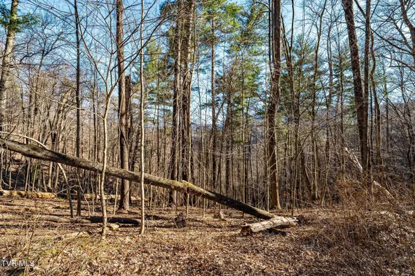 $199,900 | Tbd Lonesome Pine Trail, Unit 23B, Butler, TN 37640